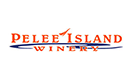 Logo 13
